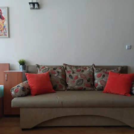 Pine Tree B11 バンスコ