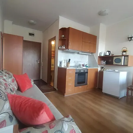 Pine Tree B11 アパート バンスコ