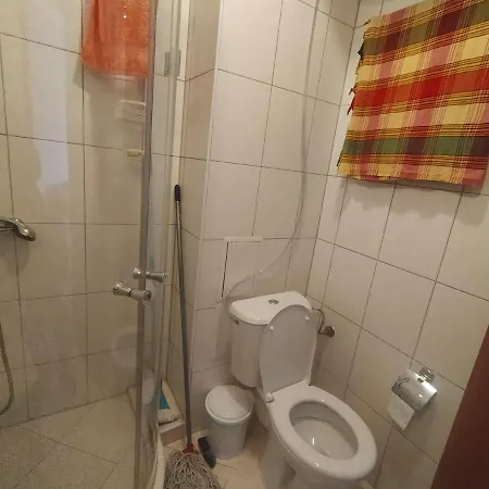 Pine Tree B11 バンスコ