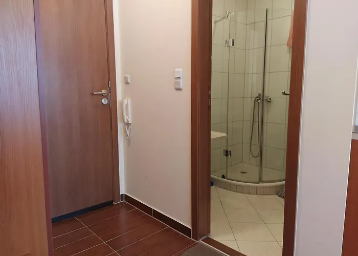 Pine Tree B11 Lägenhet Bansko