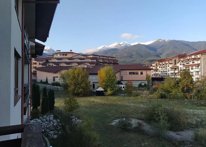 Pine Tree B11 Bansko